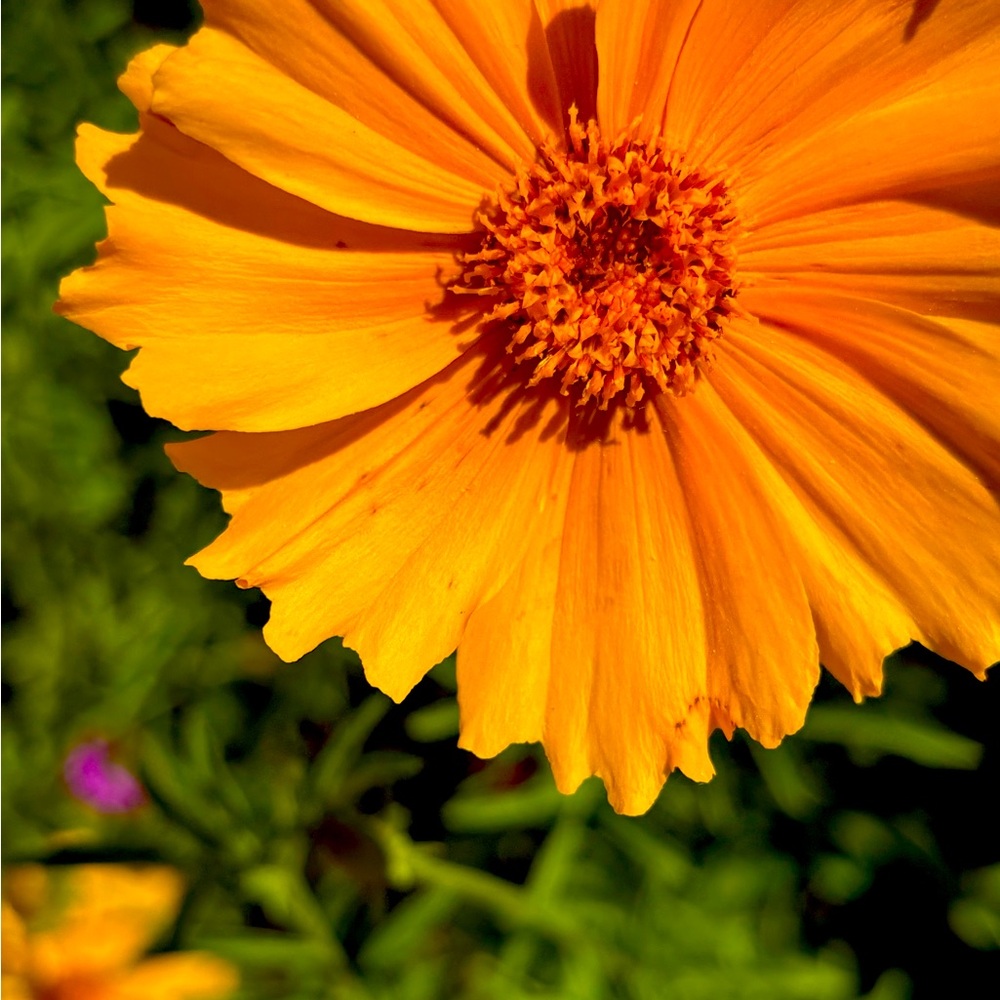 Meet your Posher, KaraFelicia